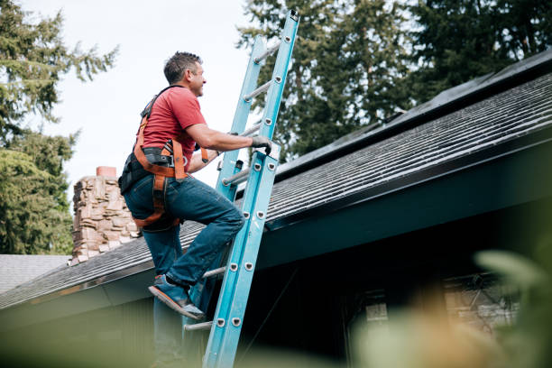 Best Roof Maintenance and Cleaning  in Pelham Manor, NY