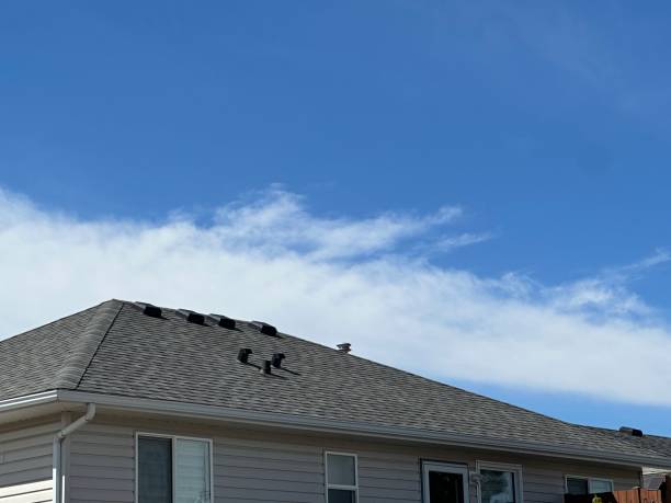 Best Storm Damage Roof Repair  in Pelham Manor, NY